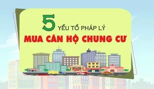 pháp lý khi mua căn hộ cao cấp